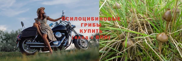 стафф Верея